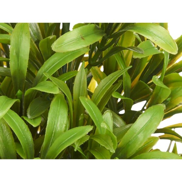 Decorative Plant Plastic 18 x 35 x 16 cm (6 Units) - Image 2